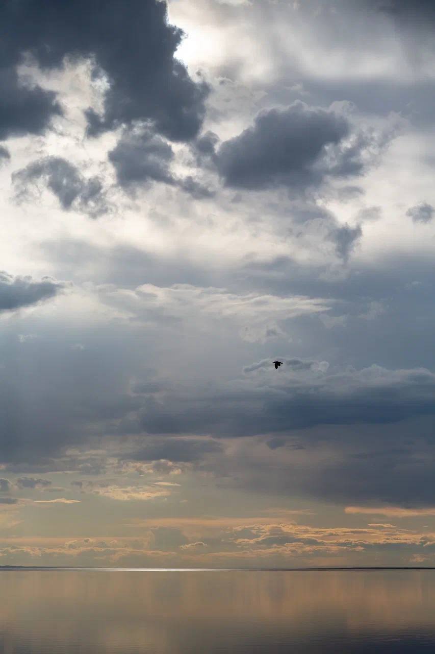 Экспедиция в Монголию (8/49)