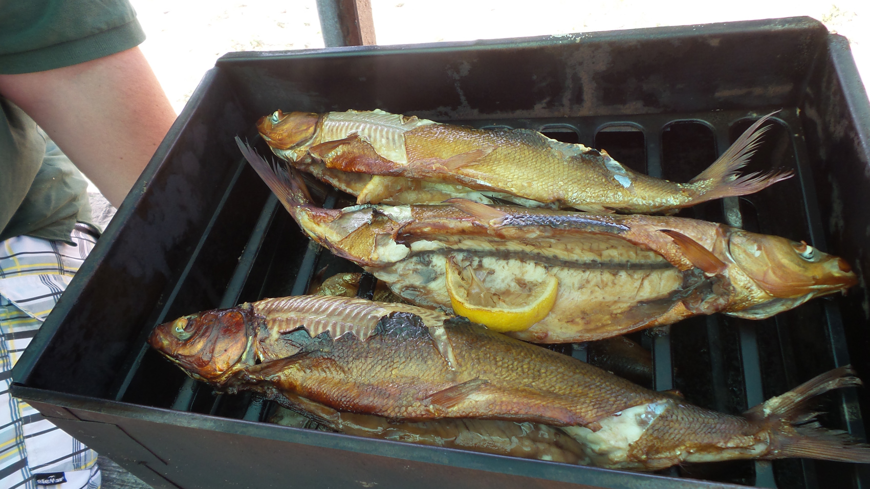 Горячие источники на Северном Байкале (4/67)