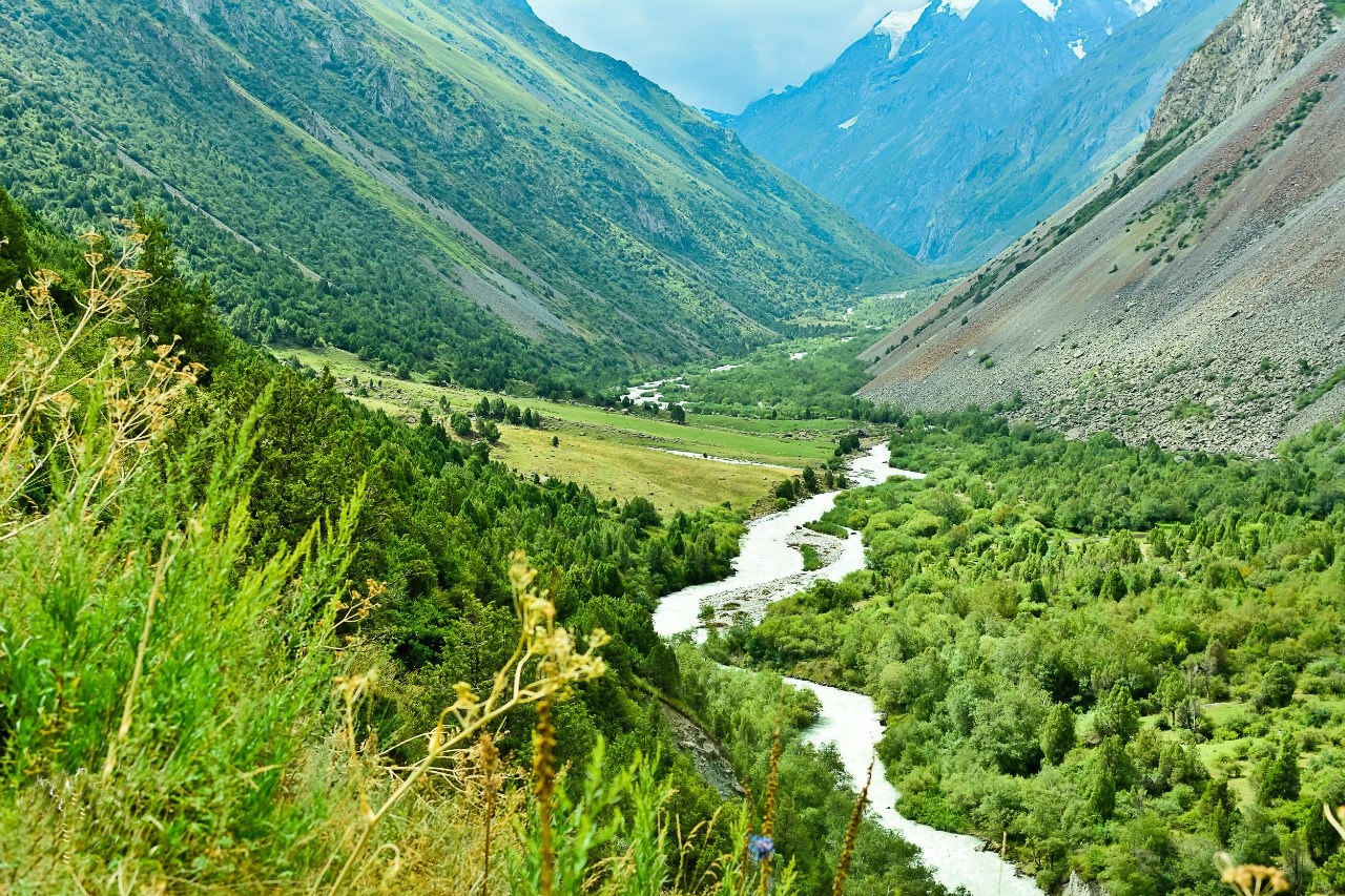 Спортивный поход по горам Тянь-Шань (5/34)