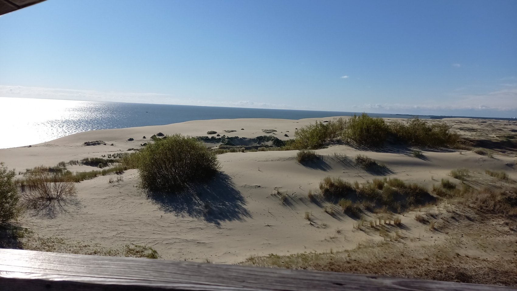 Летние каникулы в Калининграде (16/66)