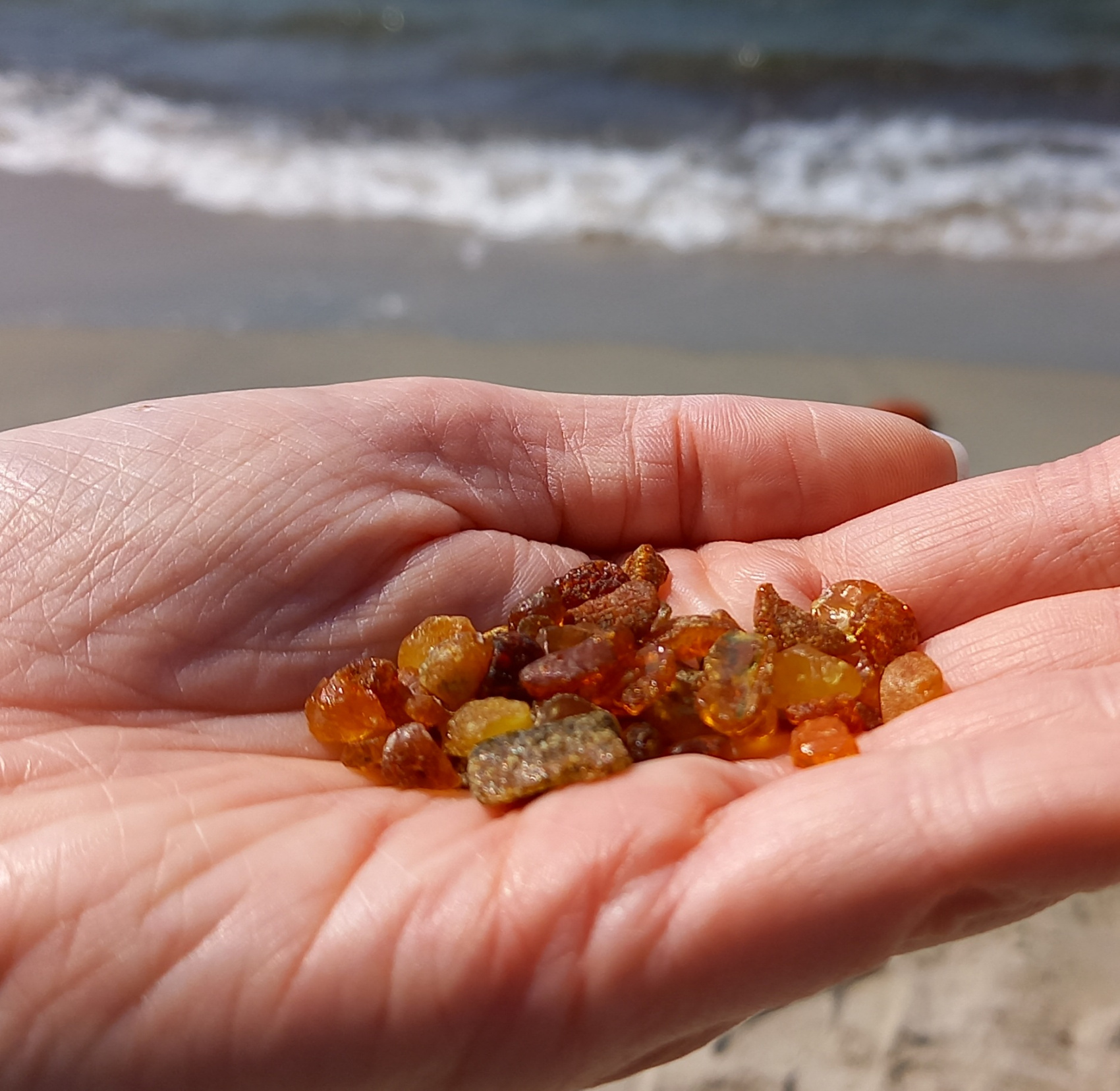 Летние каникулы в Калининграде (8/66)