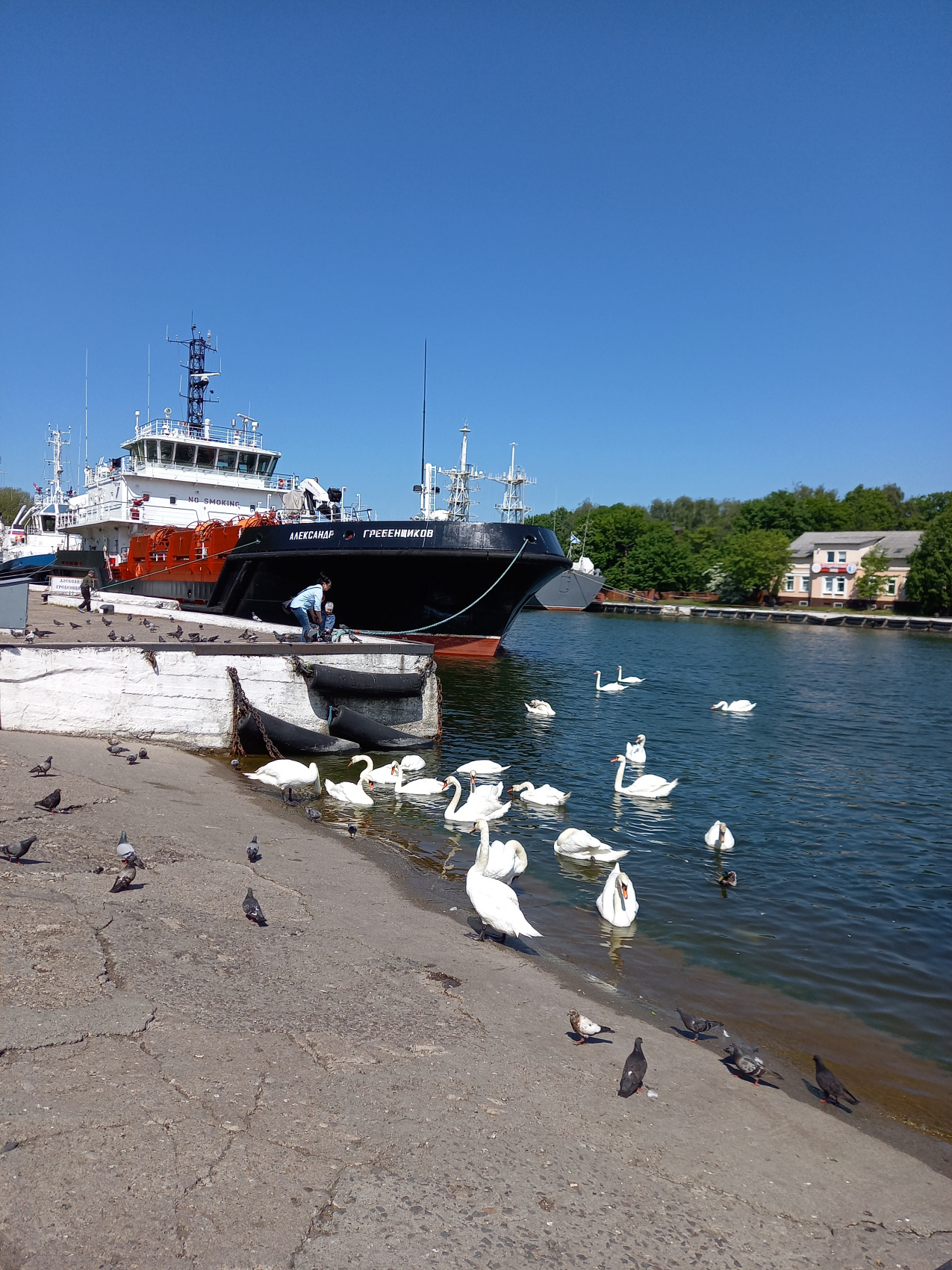 Летние каникулы в Калининграде (7/66)