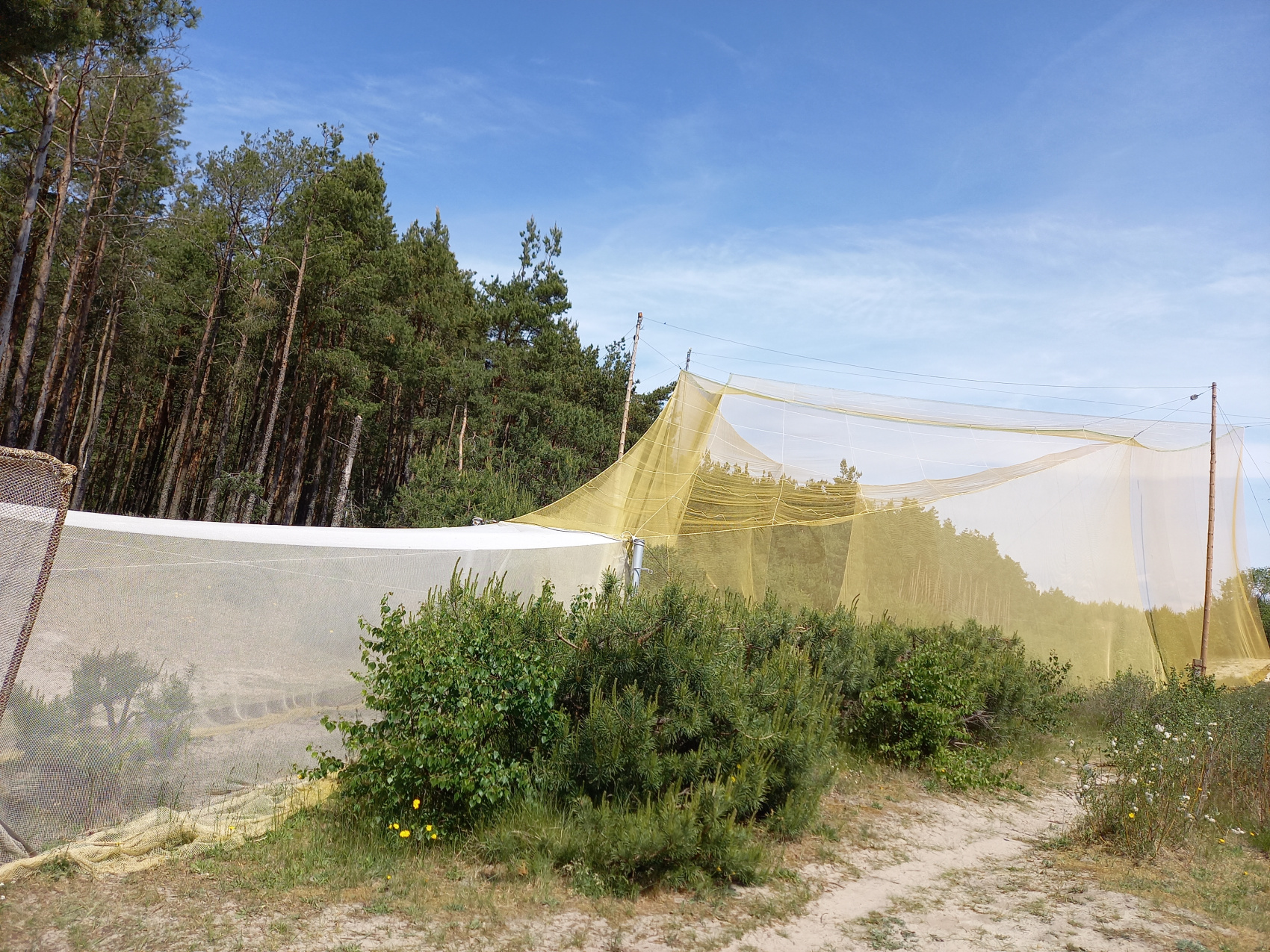 Летние каникулы в Калининграде (14/66)