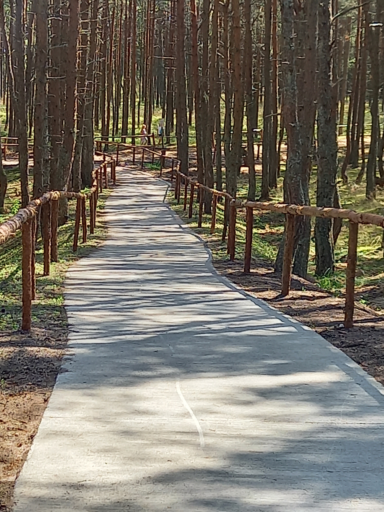 Летние каникулы в Калининграде (15/66)