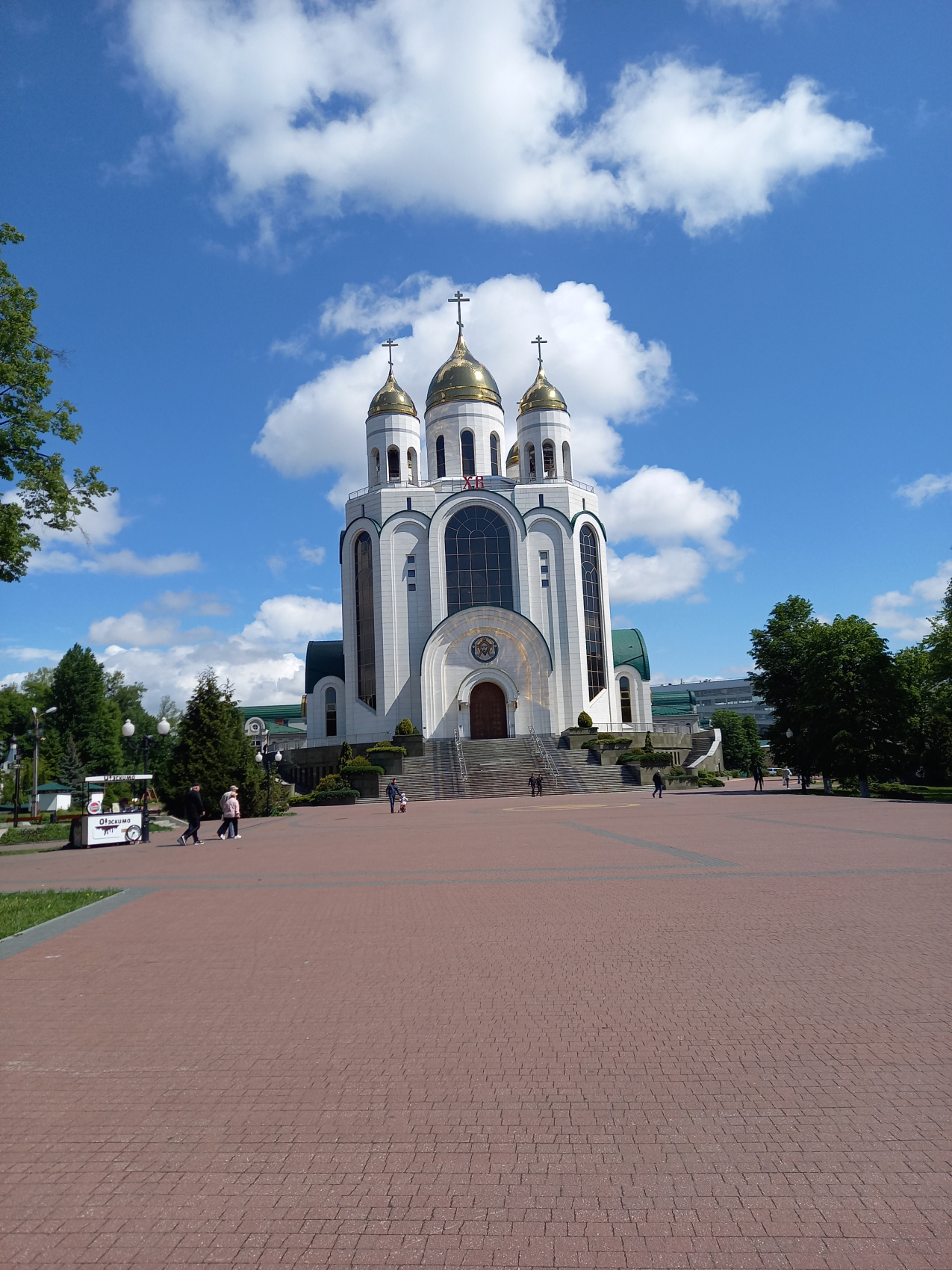 Летние каникулы в Калининграде (13/66)