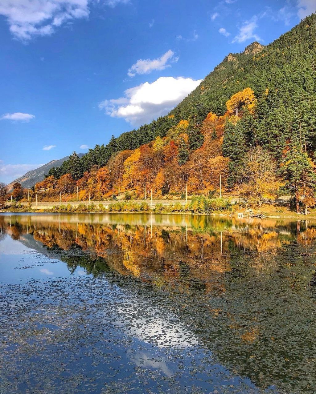 Максималка в Домбае за 6 дней с супер комфортом! (8/52)