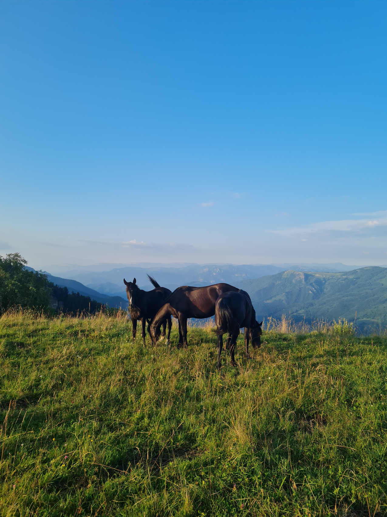 Максималка в Домбае за 6 дней с супер комфортом! (4/52)