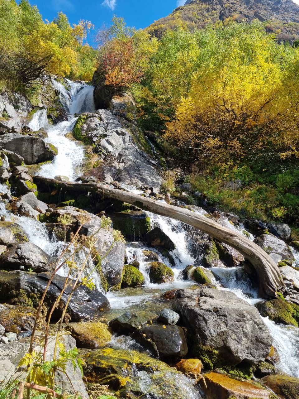 Максималка в Домбае за 6 дней с супер комфортом! (7/52)