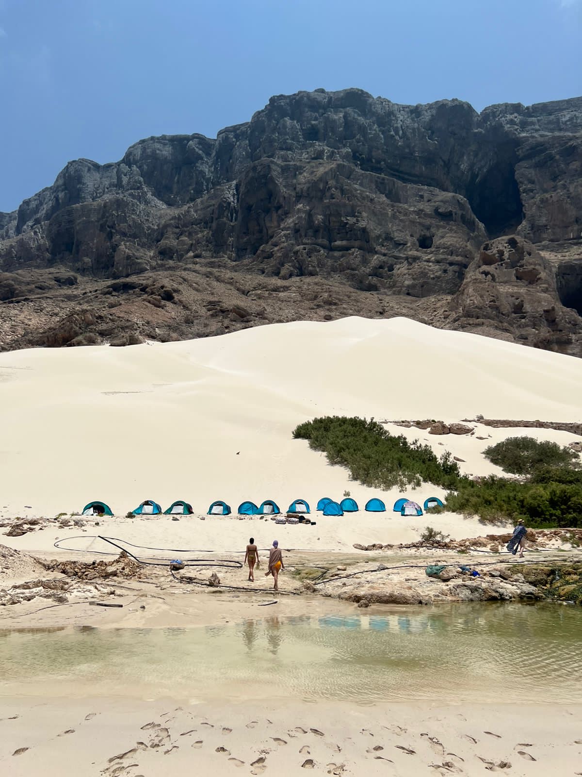 Нетронутая Сокотра. Йемен. Индивидуальный тур (25/48)