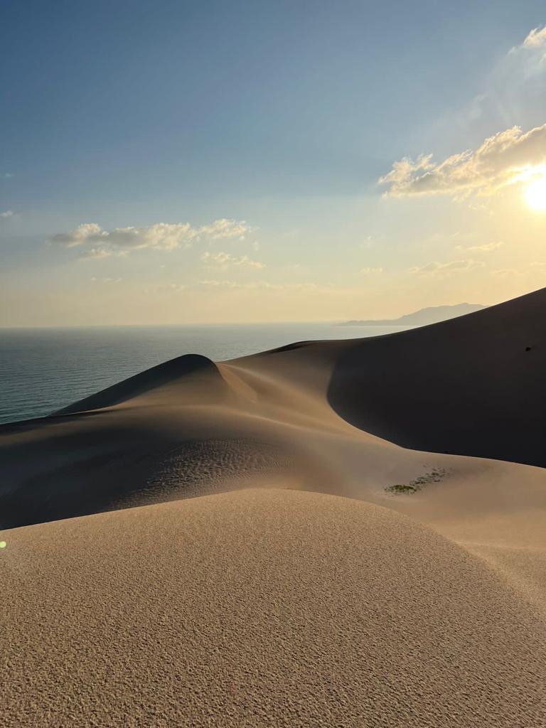 Нетронутая Сокотра. Йемен. Индивидуальный тур (23/48)