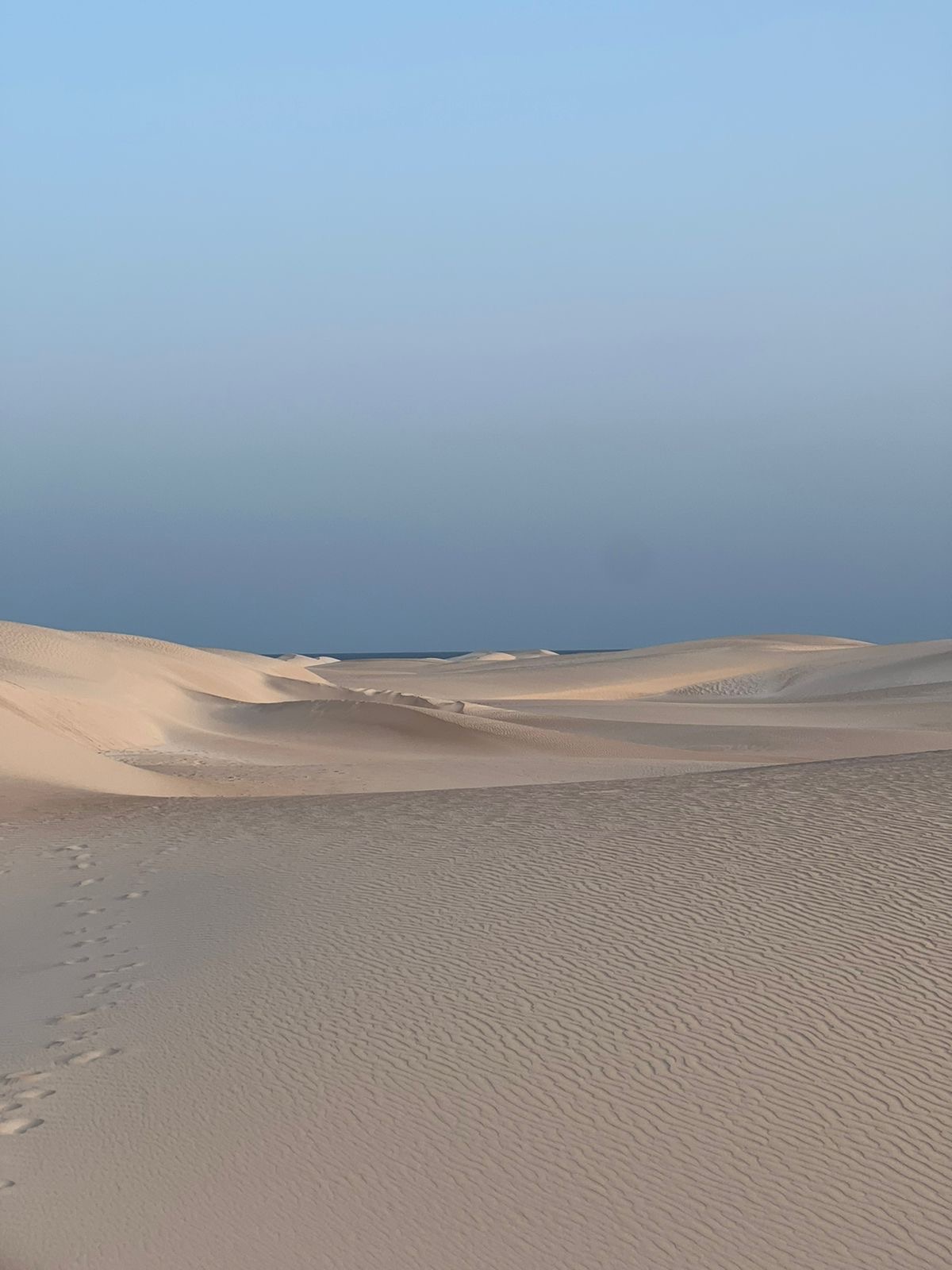 Нетронутая Сокотра. Йемен. Индивидуальный тур (28/48)