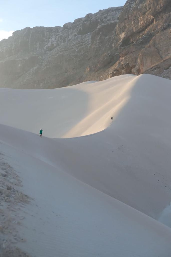 Нетронутая Сокотра. Йемен. Индивидуальный тур (15/48)