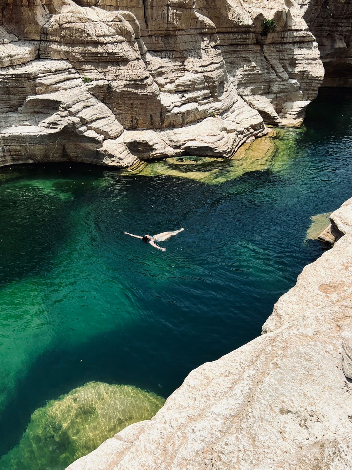 Нетронутая Сокотра. Йемен. Индивидуальный тур (17/48)