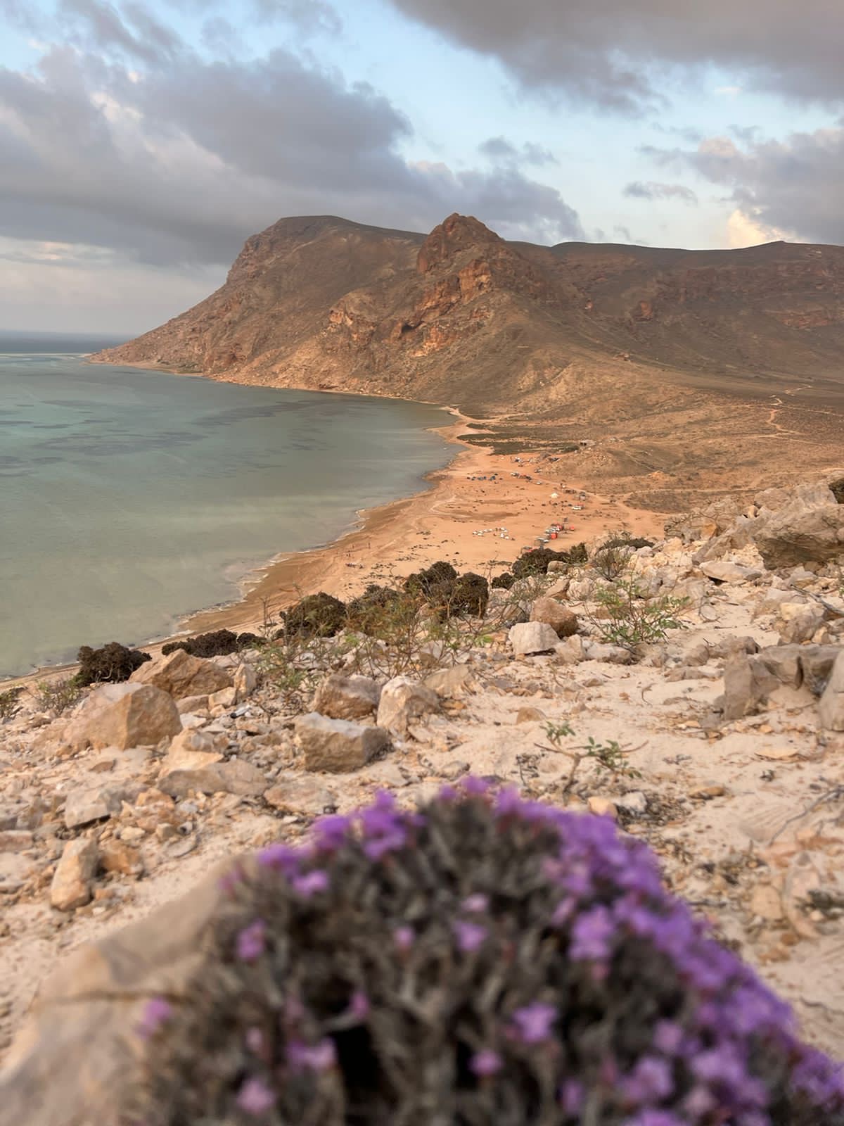 Нетронутая Сокотра. Йемен. Индивидуальный тур (30/48)