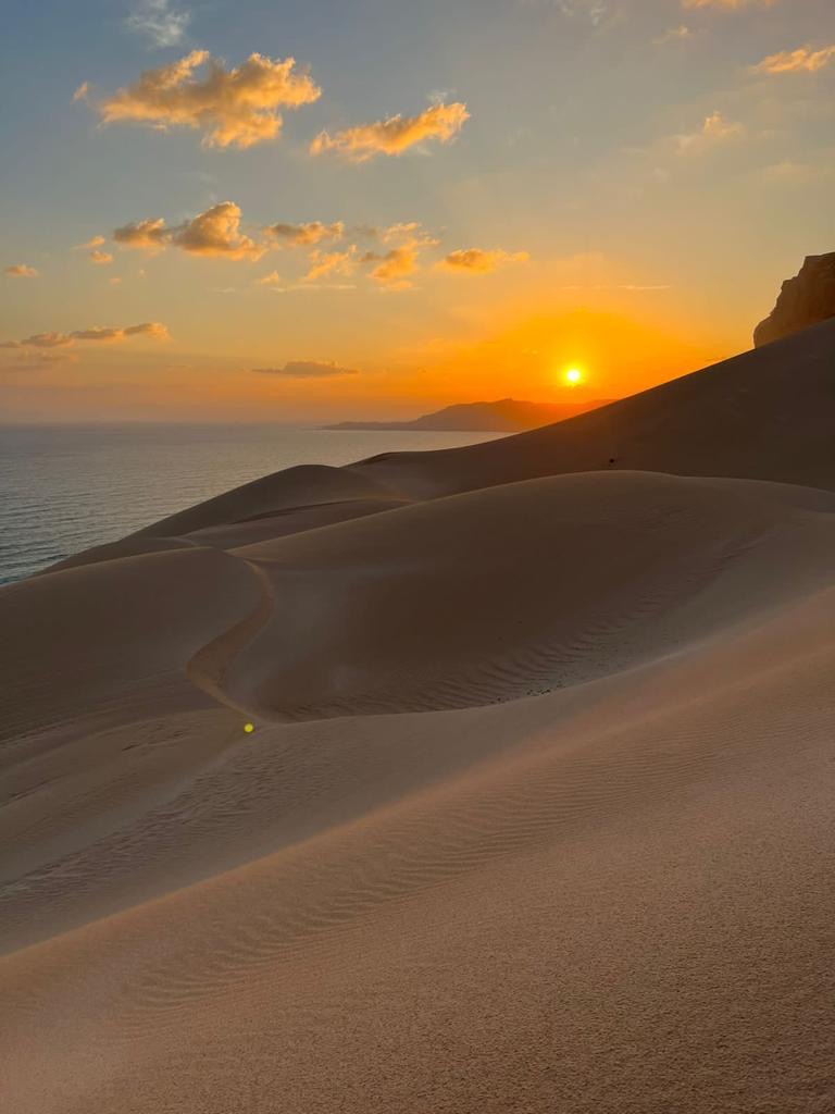Нетронутая Сокотра. Йемен. Индивидуальный тур (18/48)