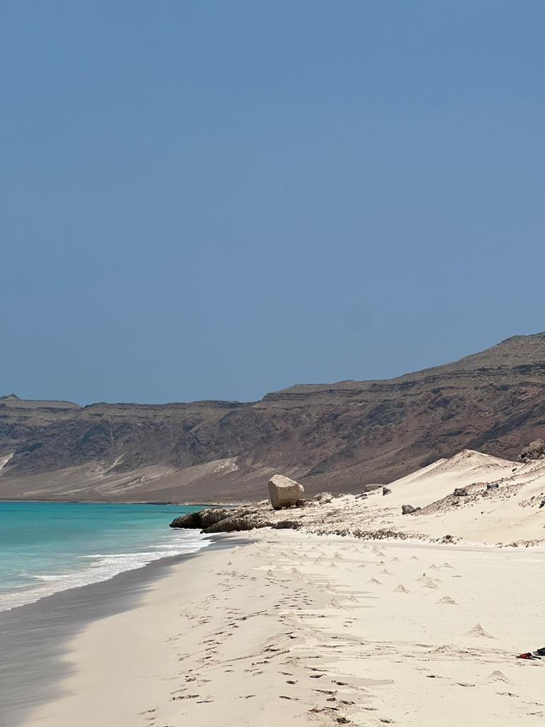 Нетронутая Сокотра. Йемен. Индивидуальный тур (21/48)