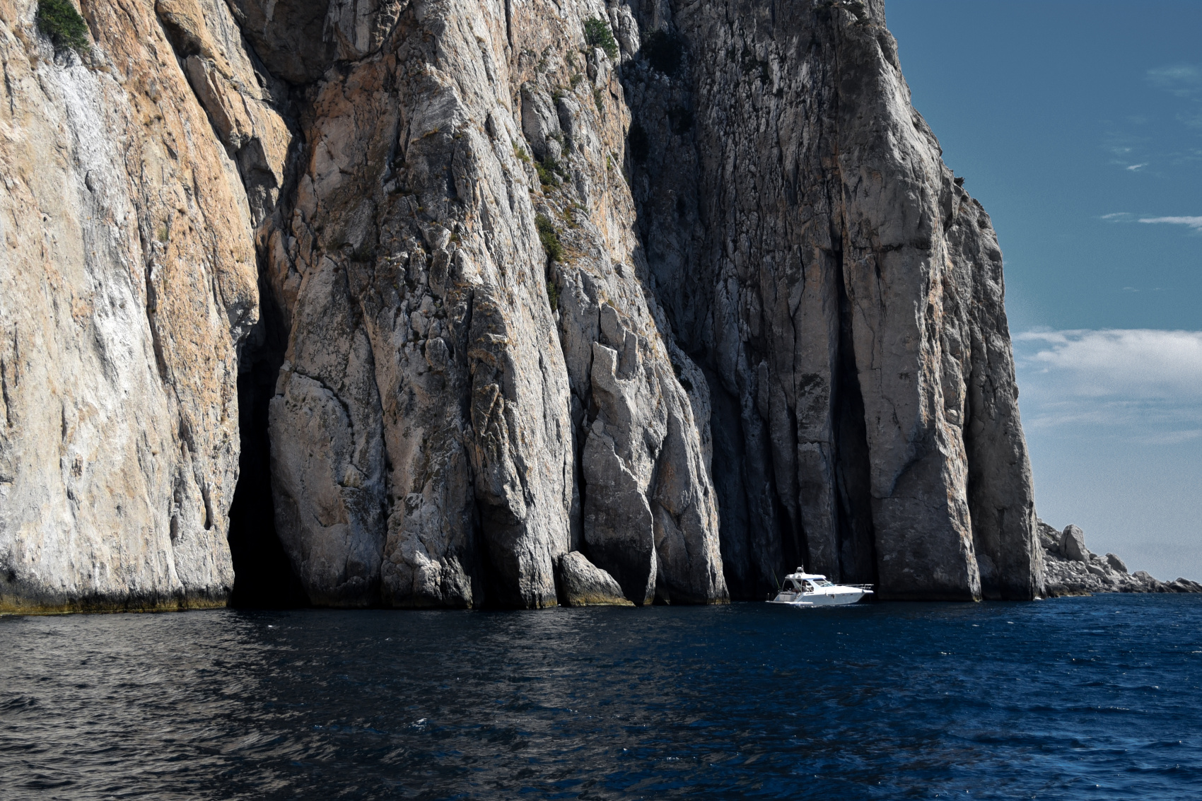 Лавандовый Фотодевичник в Крыму (20/42)