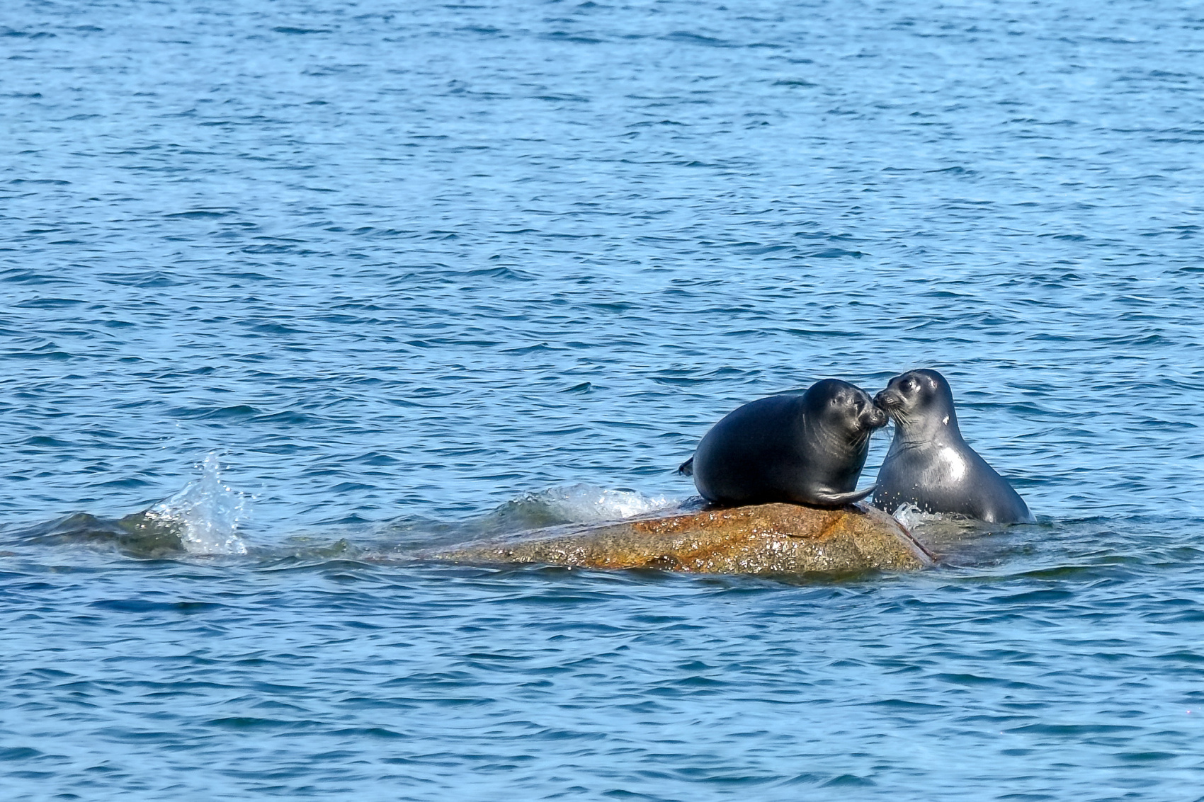 На Байкал за счастьем) (6/57)