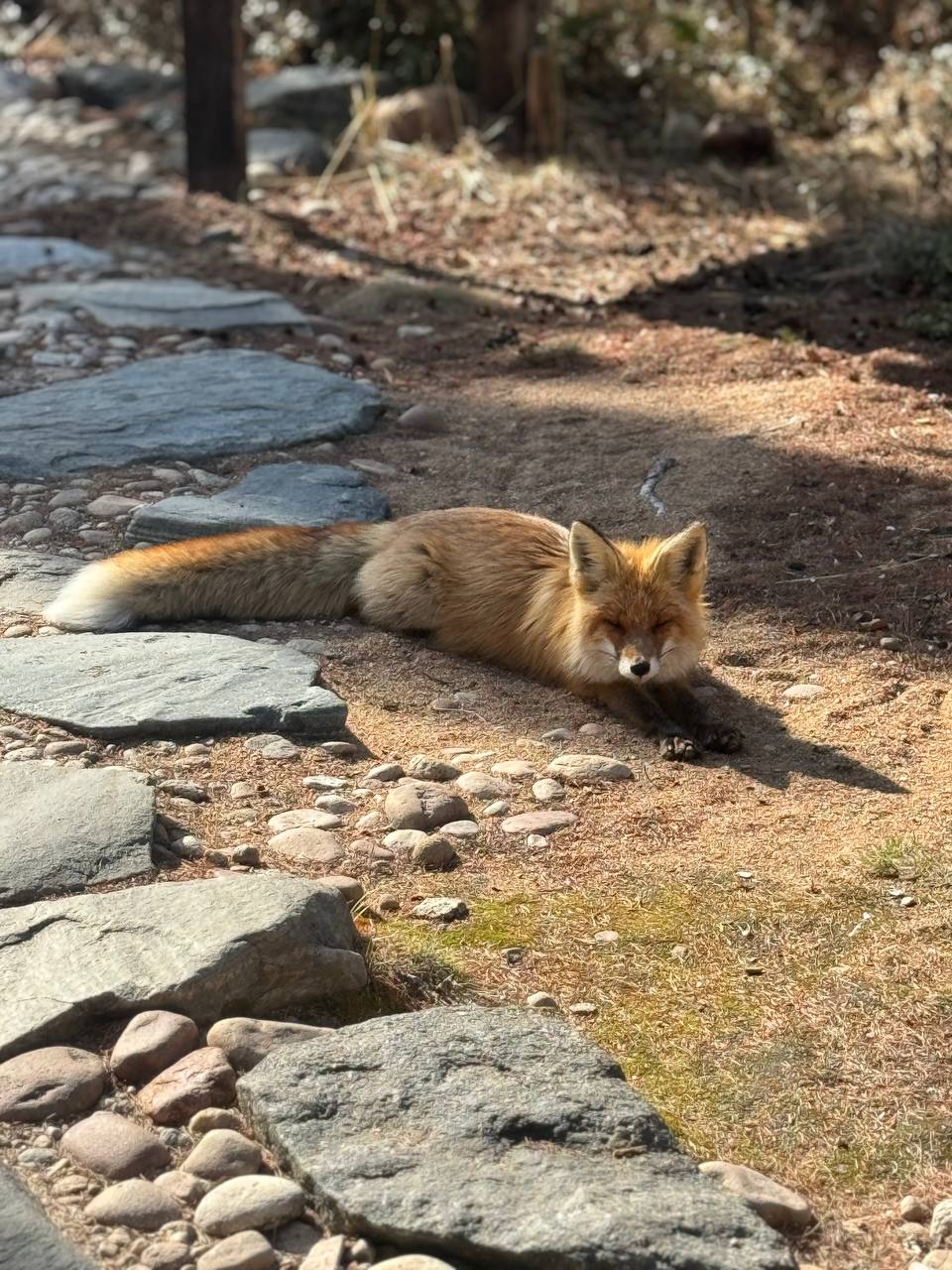 На Байкал за счастьем) (12/57)