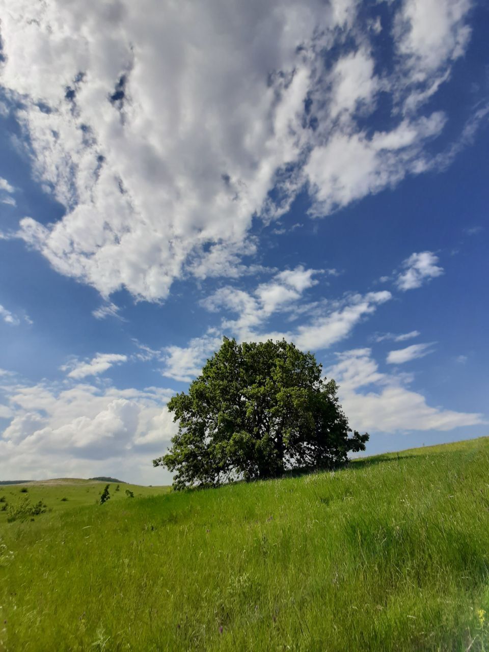 Хваникулы или  перезагрузка в Хвалынске (2/19)