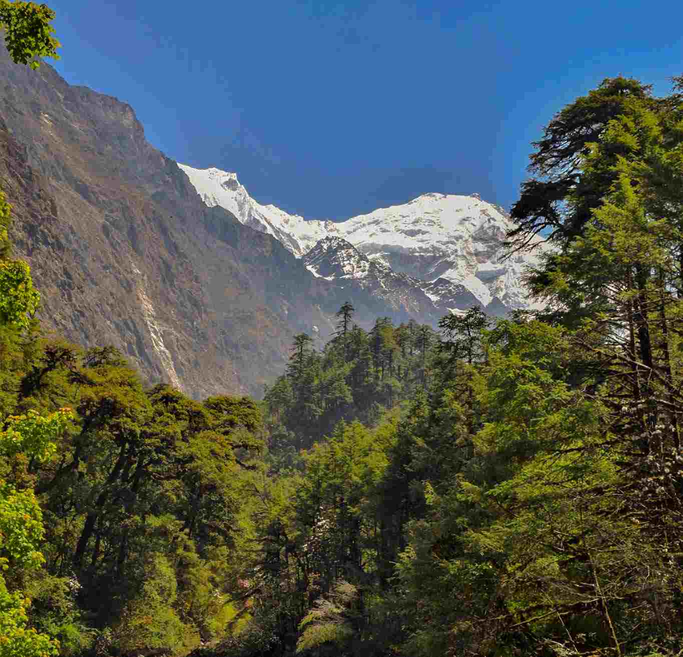 Восхождение на пик Яла (5/7)