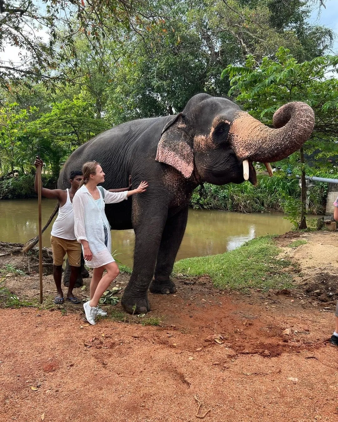 2 дня в Сердце острова Шри-Ланка из Унаватуны, Хиккадувы, Мириссы и др (15/21)