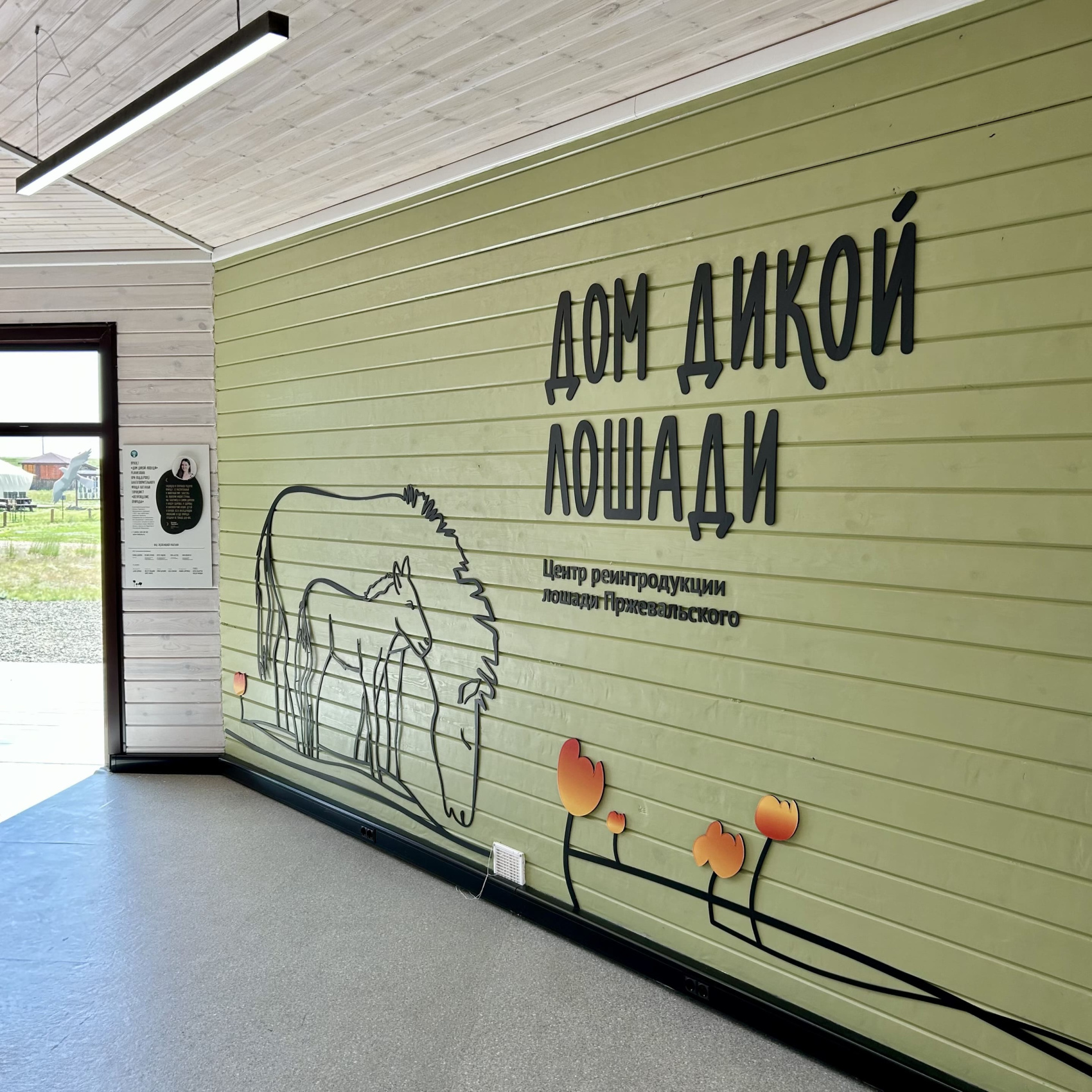 Актив-тур Степной волк Урала (9/26)