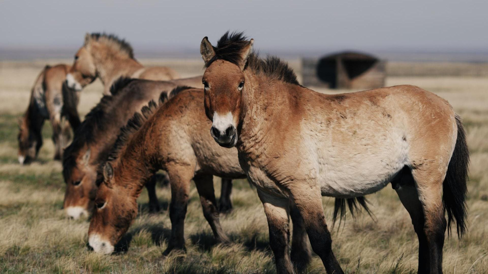 Актив-тур Степной волк Урала (3/26)