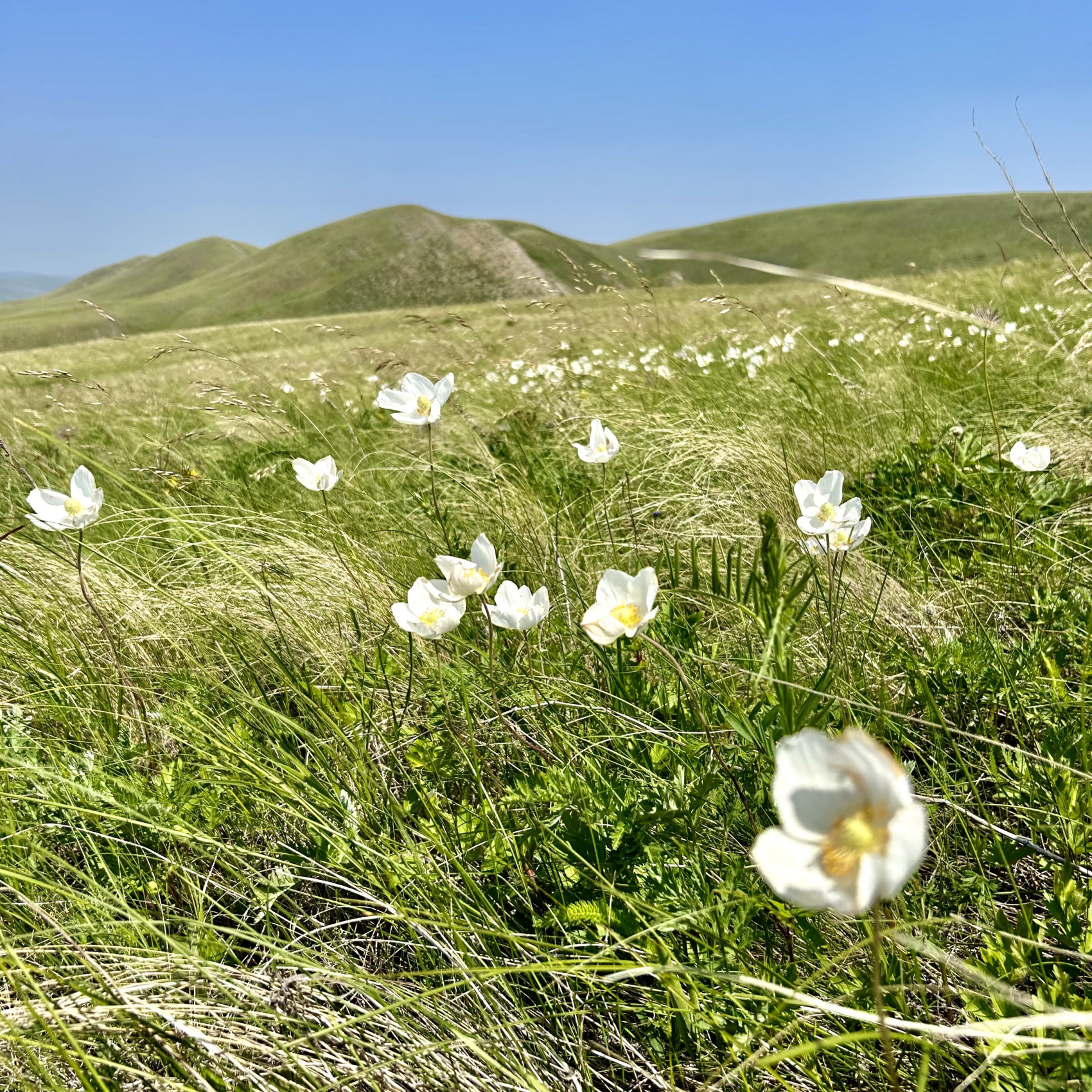 Актив-тур Степной волк Урала (11/26)