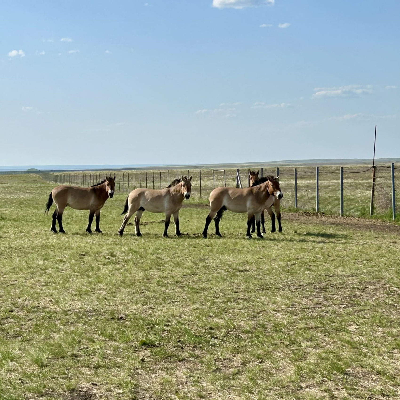 Актив-тур Степной волк Урала (14/26)