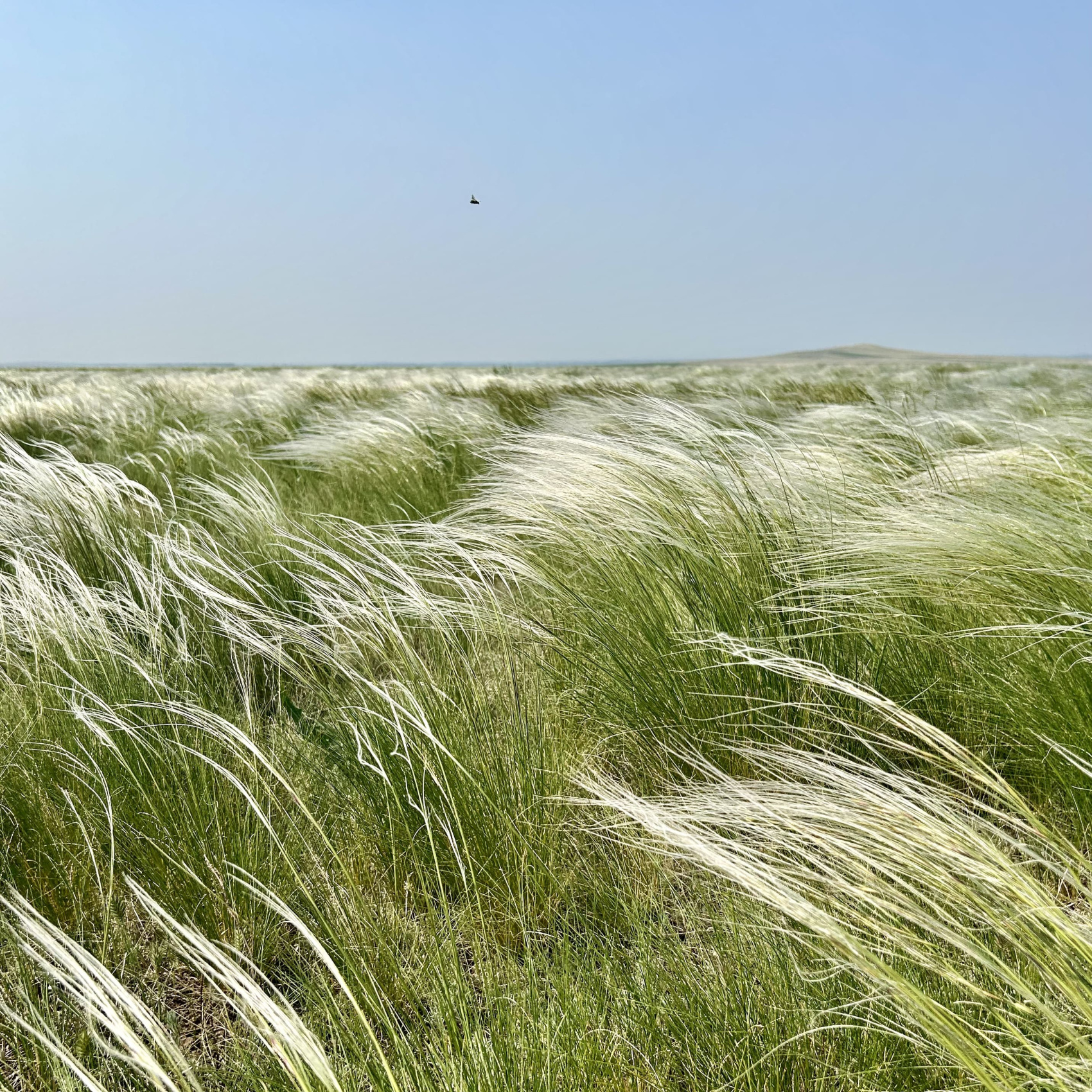 Актив-тур Степной волк Урала (12/26)