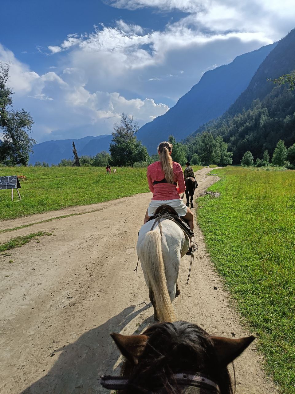 Алтай. Краски, сказки.  (37/81)