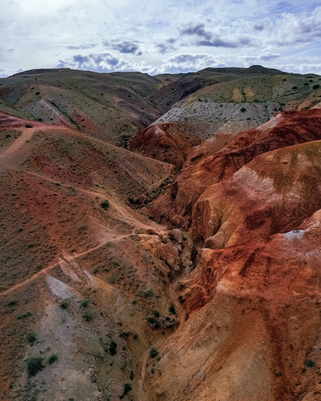 Алтай. Краски, сказки.  (12/81)