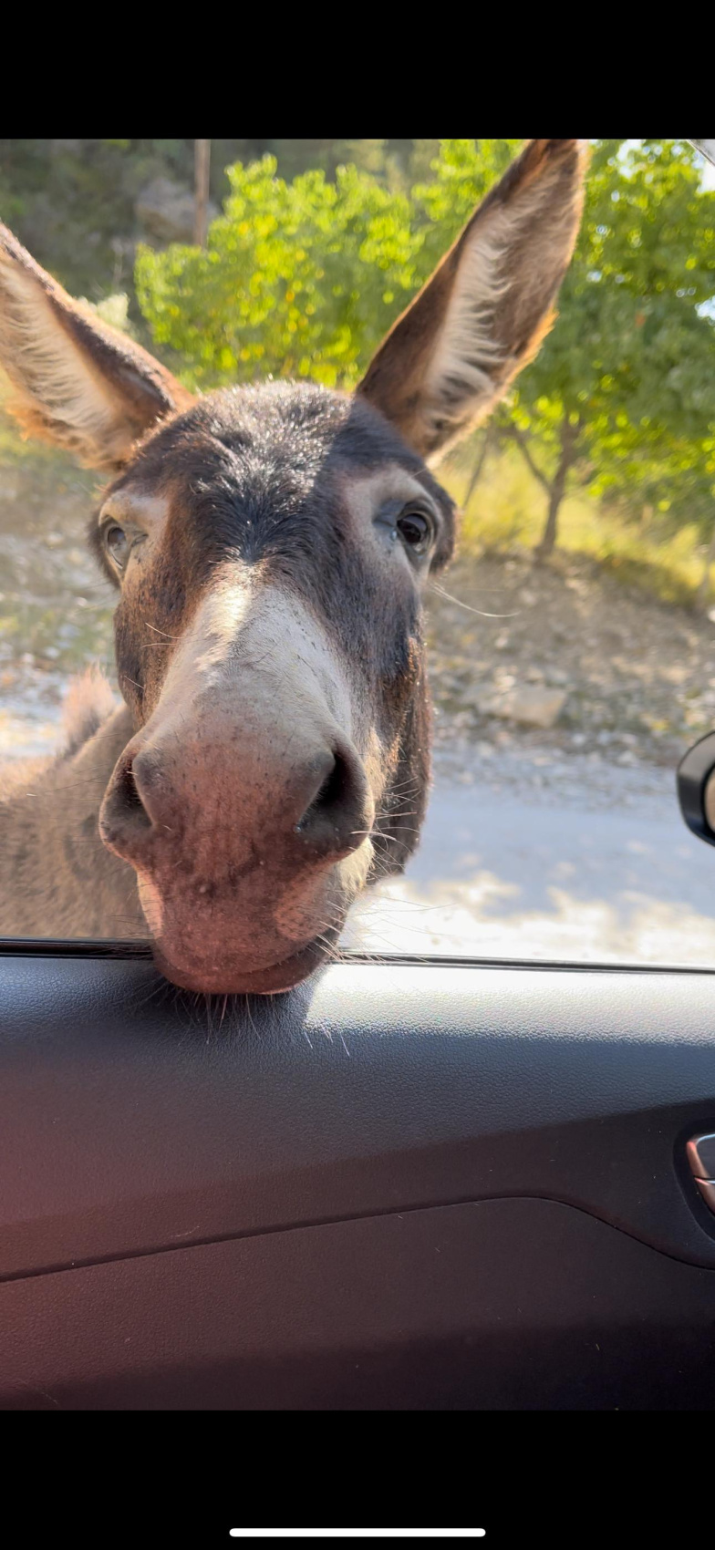 Дагестан за 3 дня: максимум впечатлений Комфорт+ (22/41)