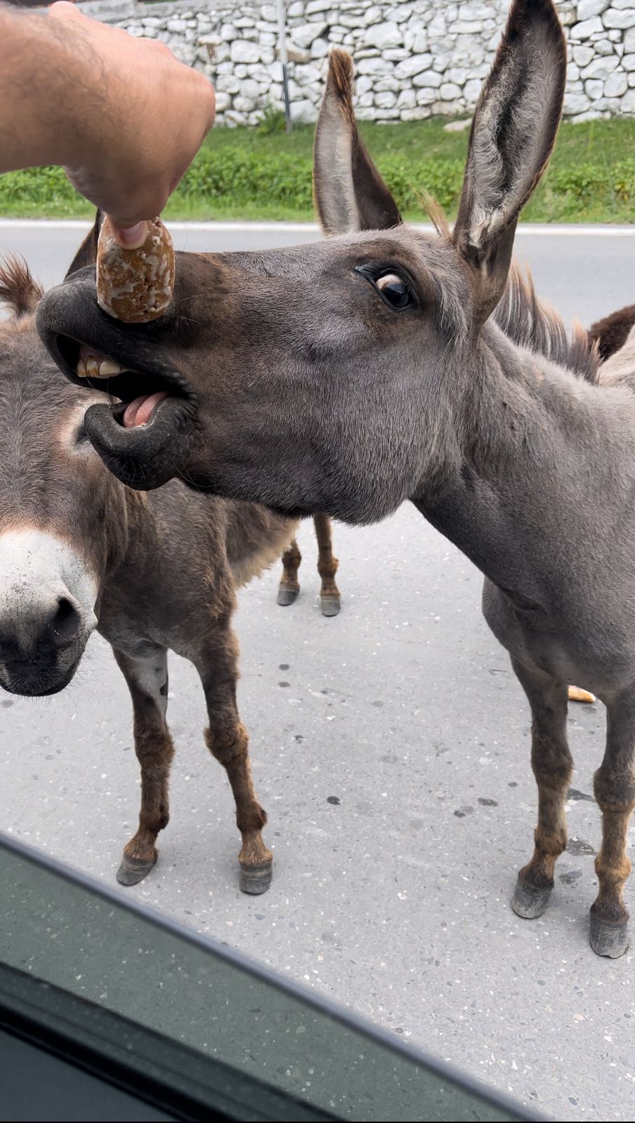 Дагестан за 3 дня: максимум впечатлений Комфорт+ (34/41)
