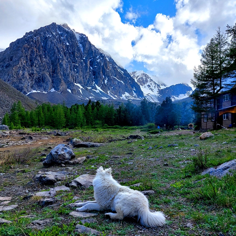 Путешествие на Алтай. 25 локаций за 8 дней (48/130)