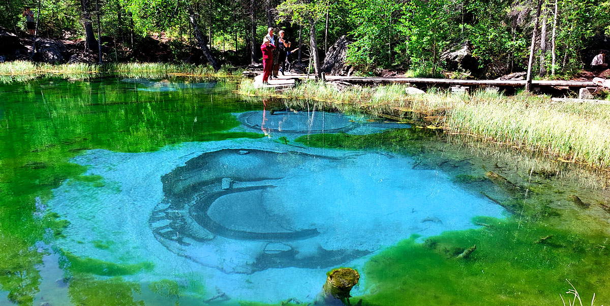 Путешествие на Алтай. 25 локаций за 8 дней