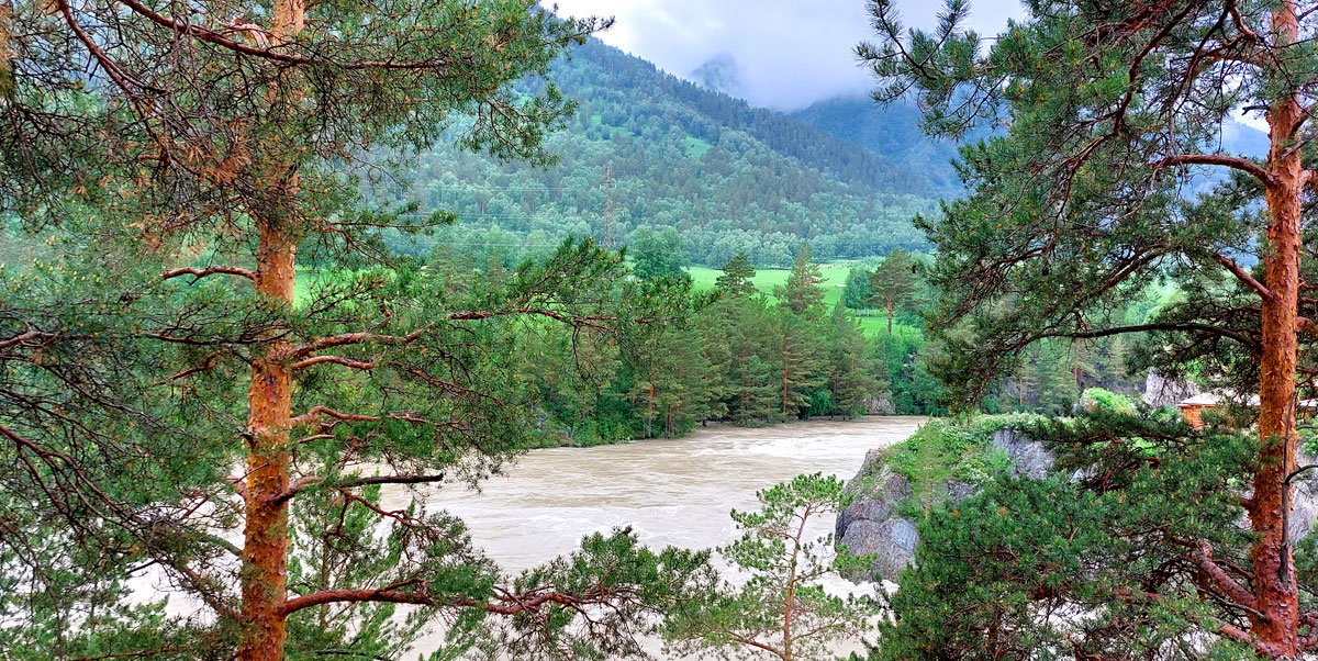 Путешествие на Алтай. 25 локаций за 8 дней (106/130)