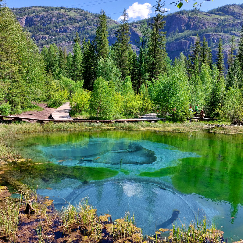 Путешествие на Алтай. 25 локаций за 8 дней (91/130)