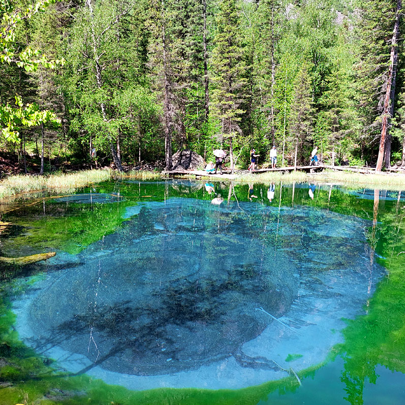 Путешествие на Алтай. 25 локаций за 8 дней (10/130)