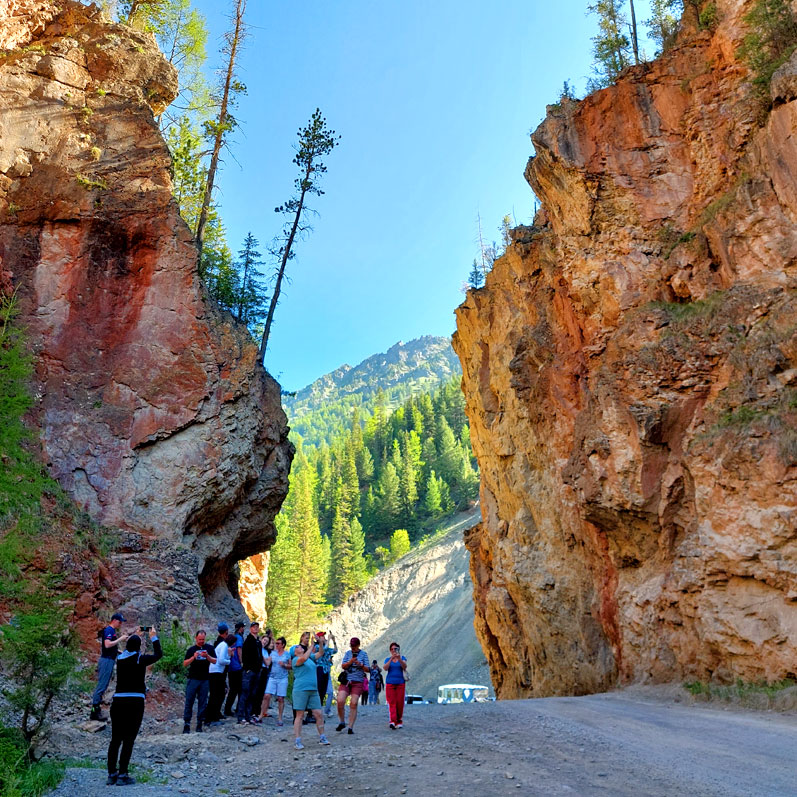 Путешествие на Алтай. 25 локаций за 8 дней (85/130)