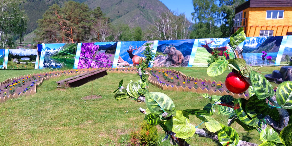 Путешествие на Алтай. 25 локаций за 8 дней (41/130)