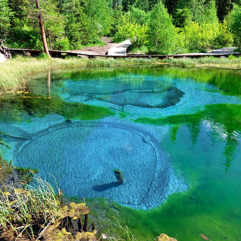Путешествие на Алтай. 25 локаций за 8 дней (3/130)