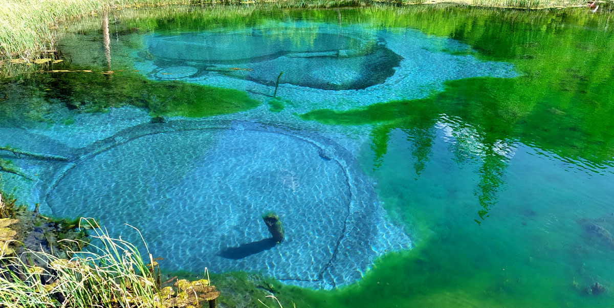 Путешествие на Алтай. 25 локаций за 8 дней (93/130)