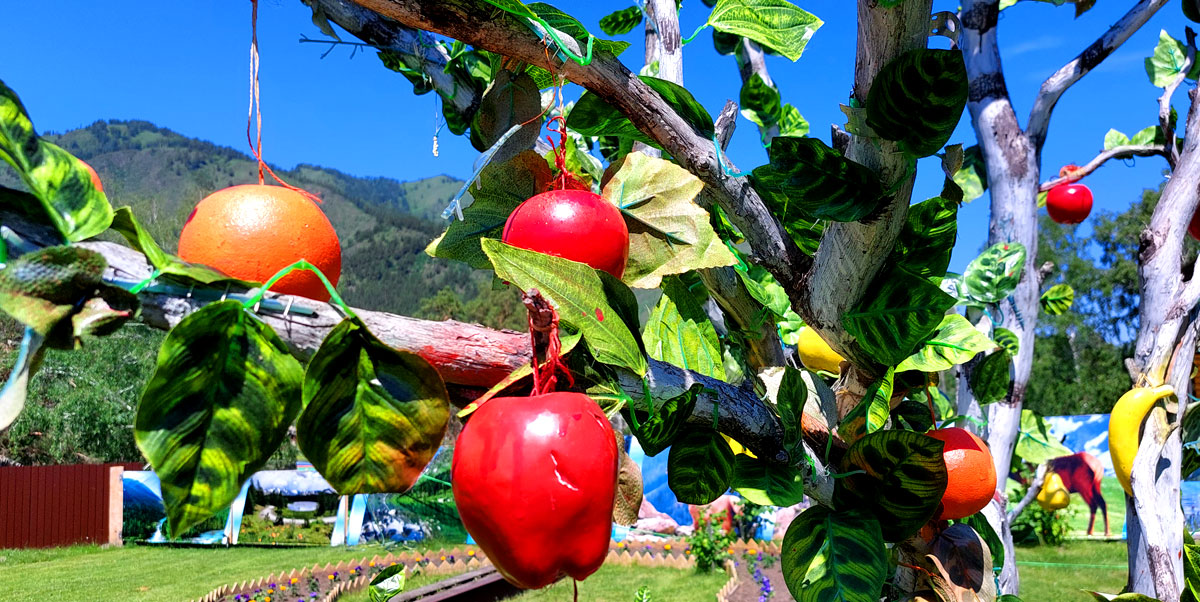 Путешествие на Алтай. 25 локаций за 8 дней (34/130)