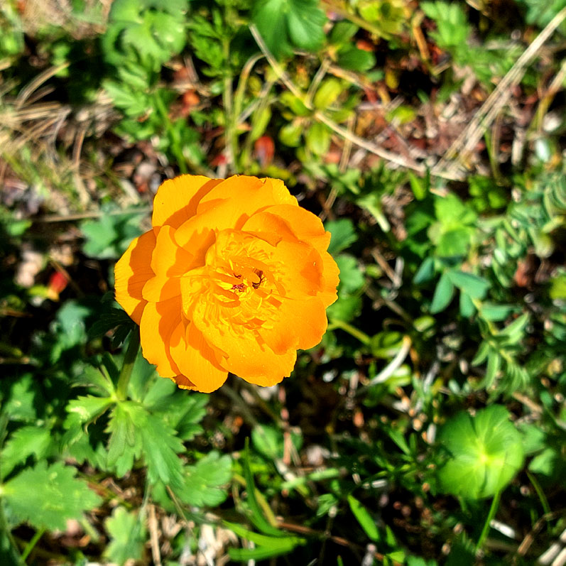 Путешествие на Алтай. 25 локаций за 8 дней (90/130)