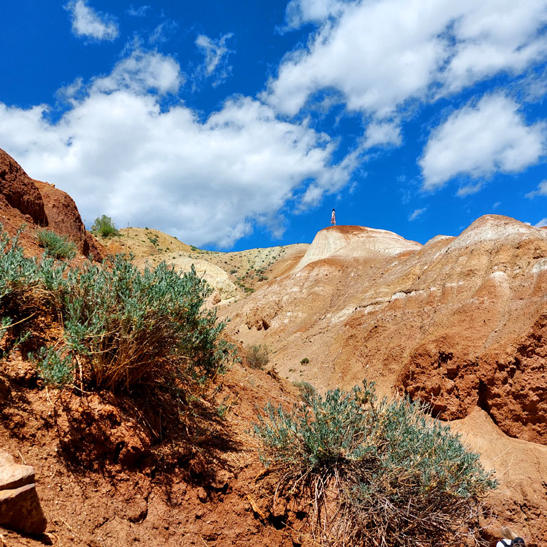Путешествие на Алтай. 25 локаций за 8 дней (92/130)