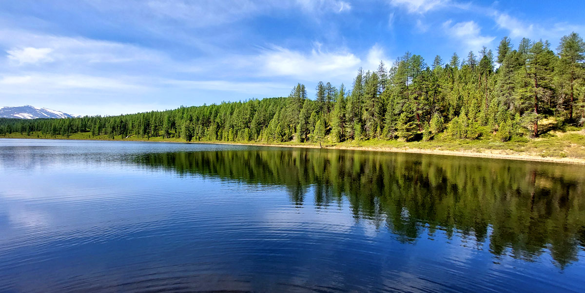 Путешествие на Алтай. 25 локаций за 8 дней (98/130)