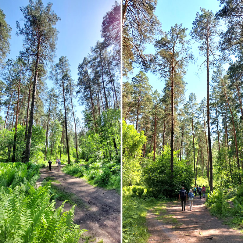 Путешествие на Алтай. 25 локаций за 8 дней (7/130)