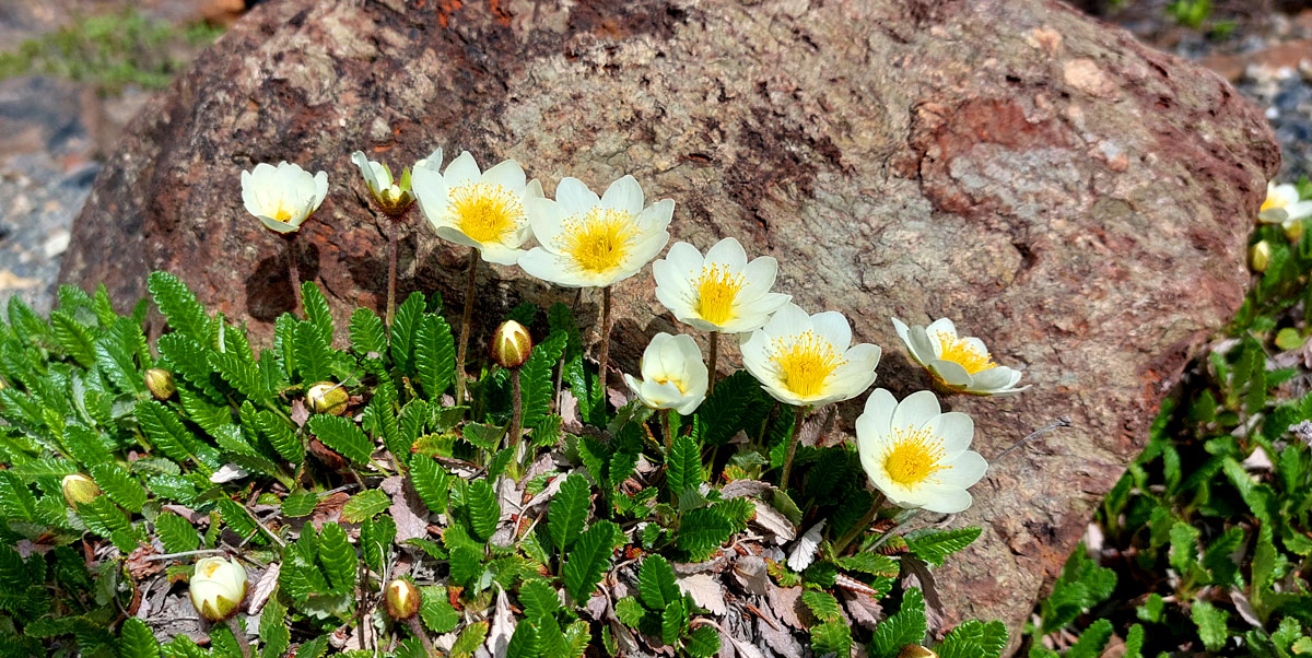 Путешествие на Алтай. 25 локаций за 8 дней (81/130)